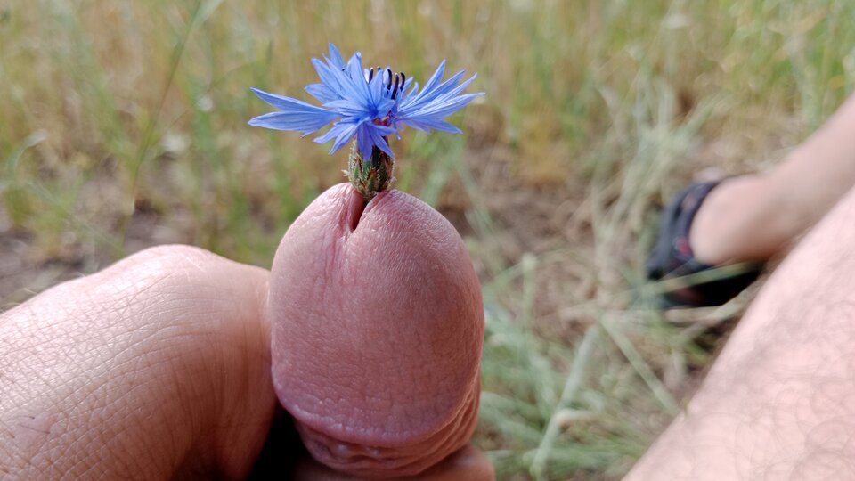 16863204512651793962054584992417.jpg - eroteooo