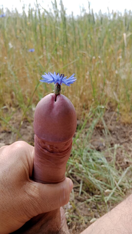 16863205109827045464743756729577.jpg - eroteooo