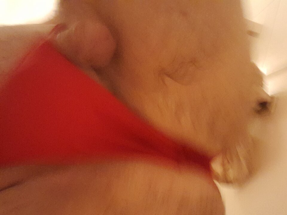 20230609_180814.jpg - rafal1410