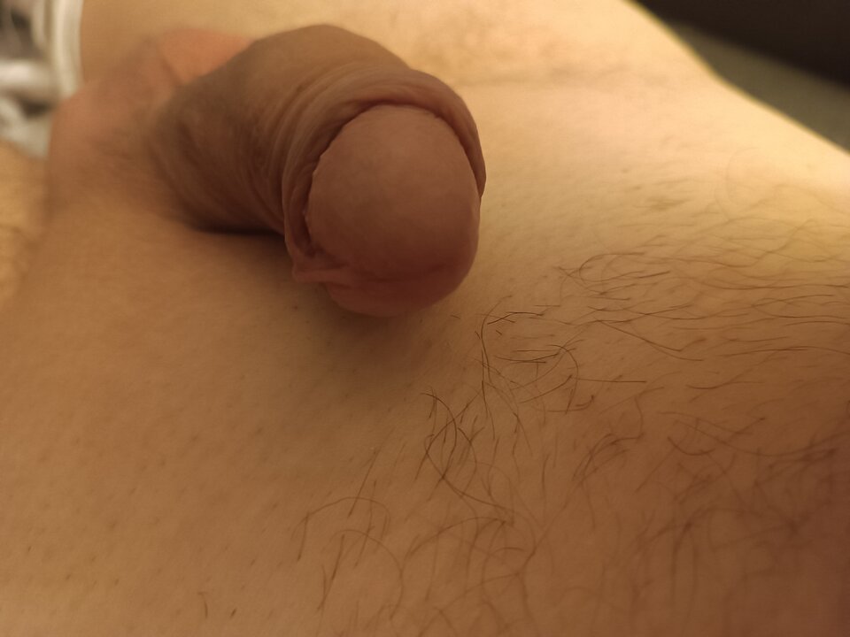 16863442677545803490672668876931.jpg - fazi27l