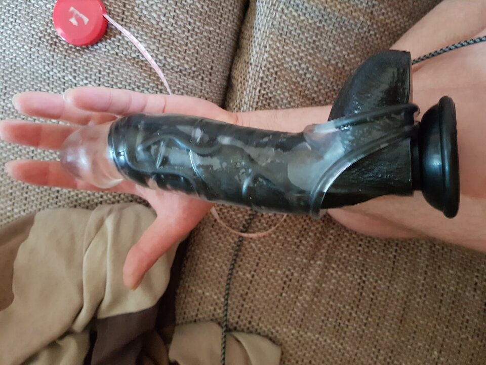 20230609_115101.jpg - tomtrans1985