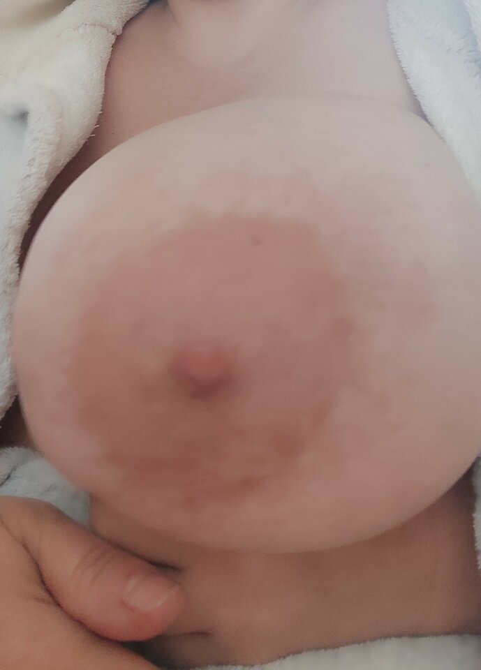 IMG_20230610_092548.jpg - TakaJaMala