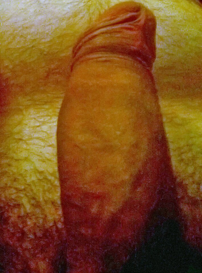 WP_20230610_005.jpg - Rafal9333