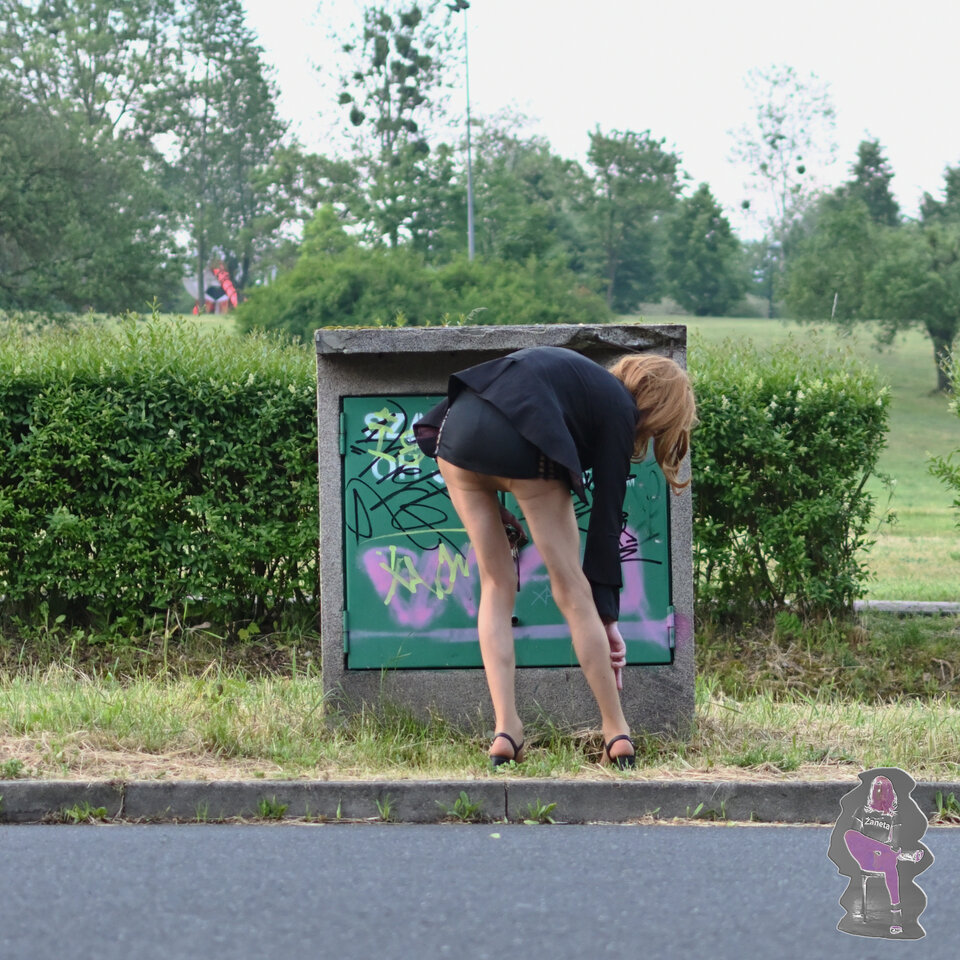 DSC_9102.JPG - zaneta201990