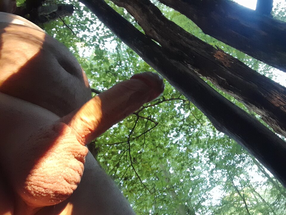 20230611_063415.jpg - rafal1410