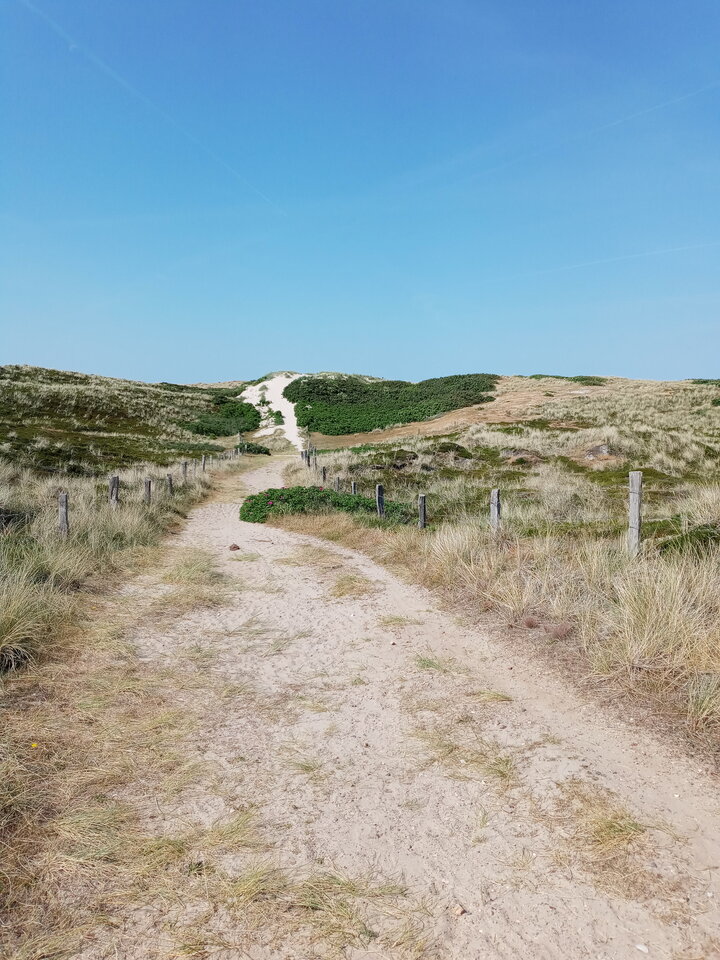 20230611_104324.jpg - Korzen1983