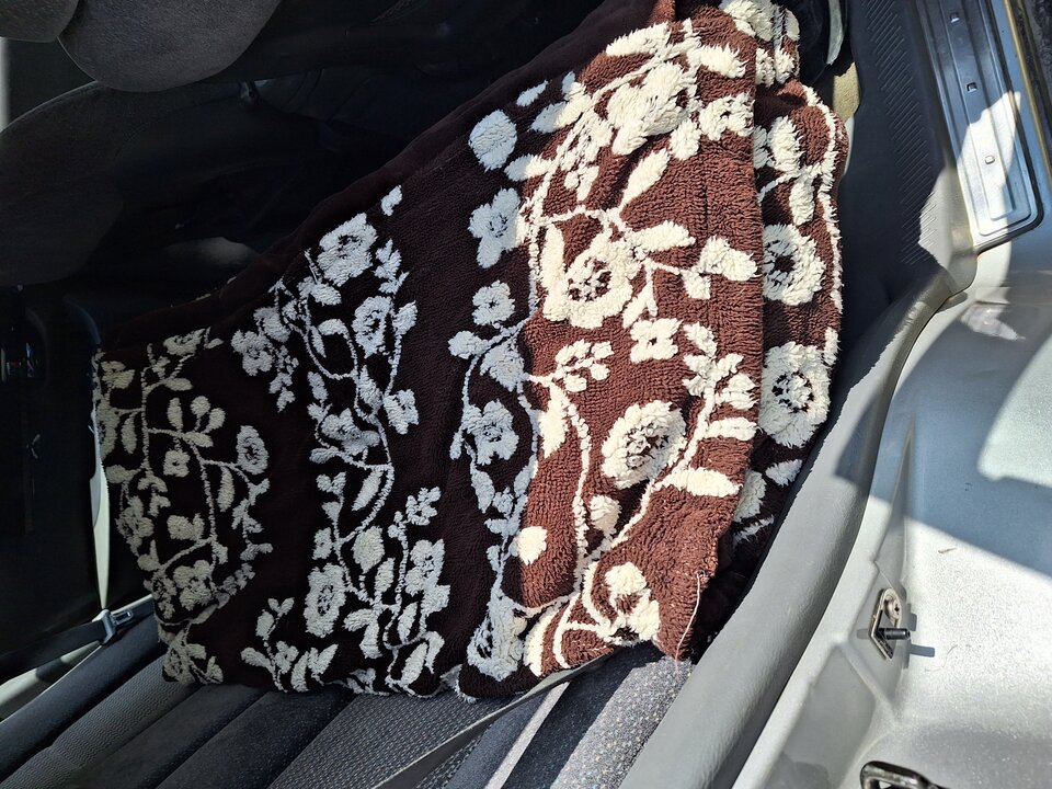 16864812155471608515843228355810.jpg - Glodnisexu1