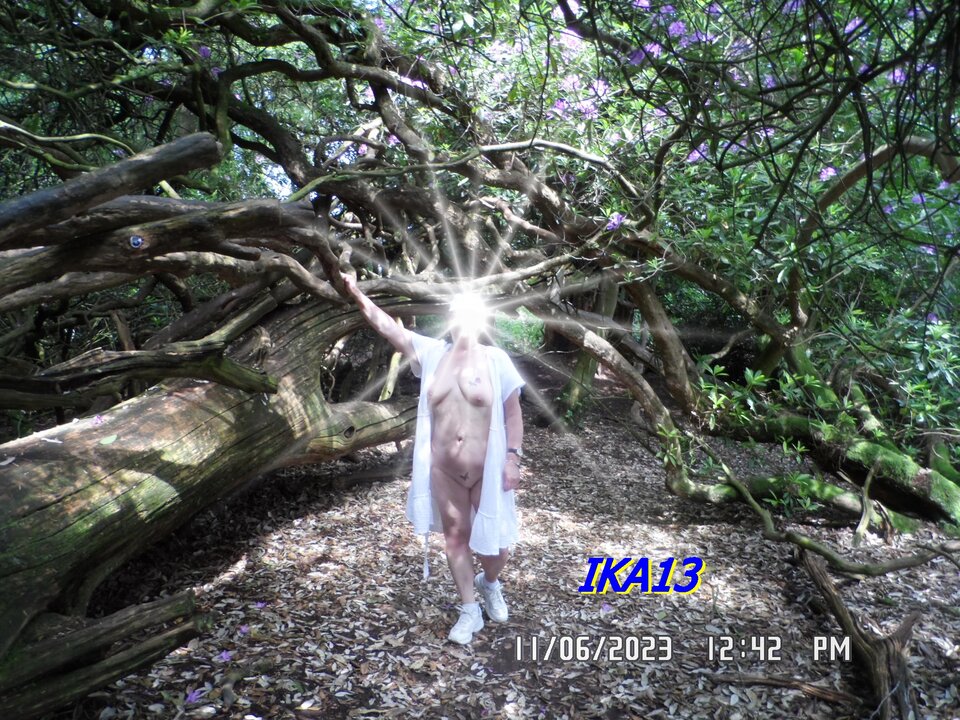 SAM_1308.JPG - ika13