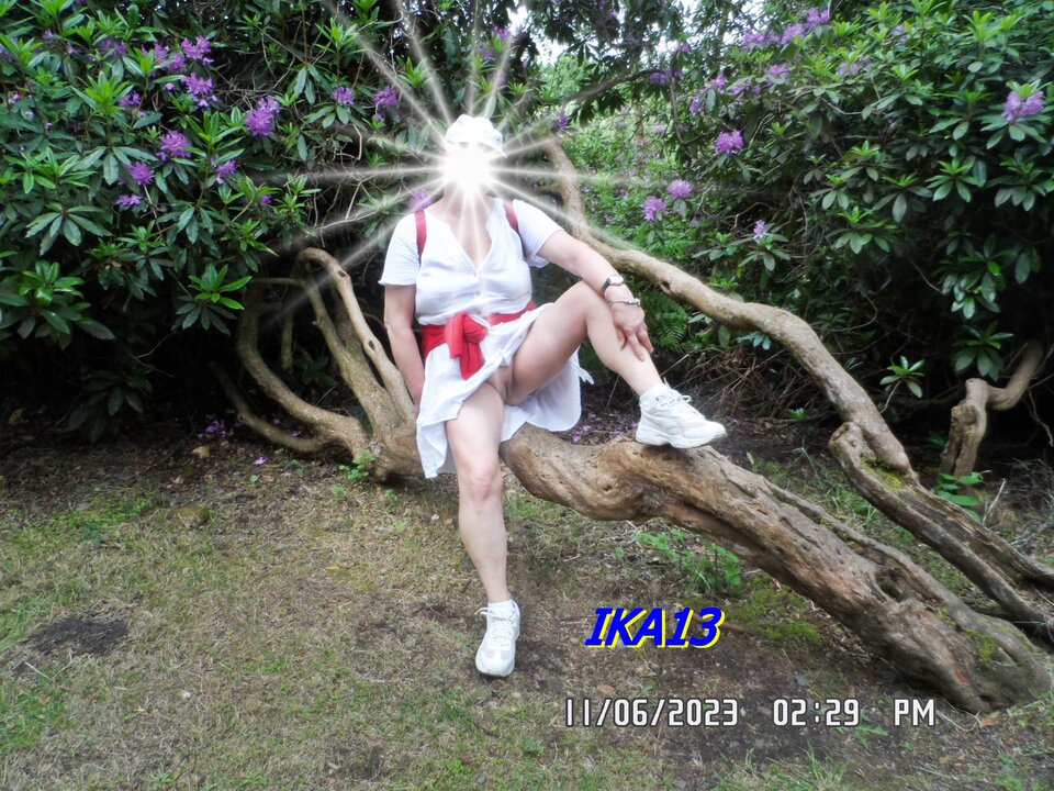 SAM_1323.JPG - ika13