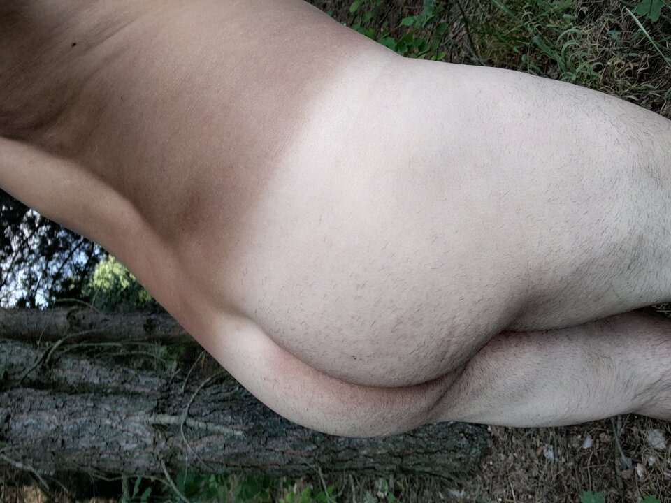 IMG_20230611_183956377_HDR.jpg - jan2121