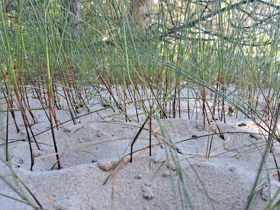 20230610_154104.jpg - malgos1972