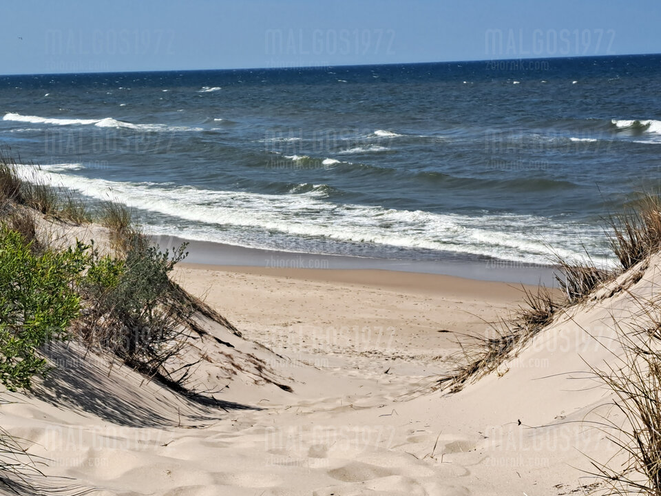 20230610_133826.jpg - malgos1972