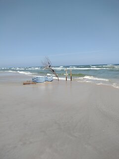 IMG_20230609_103220622.jpg