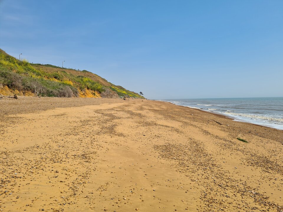 20230611_120550.jpg - adamm19777