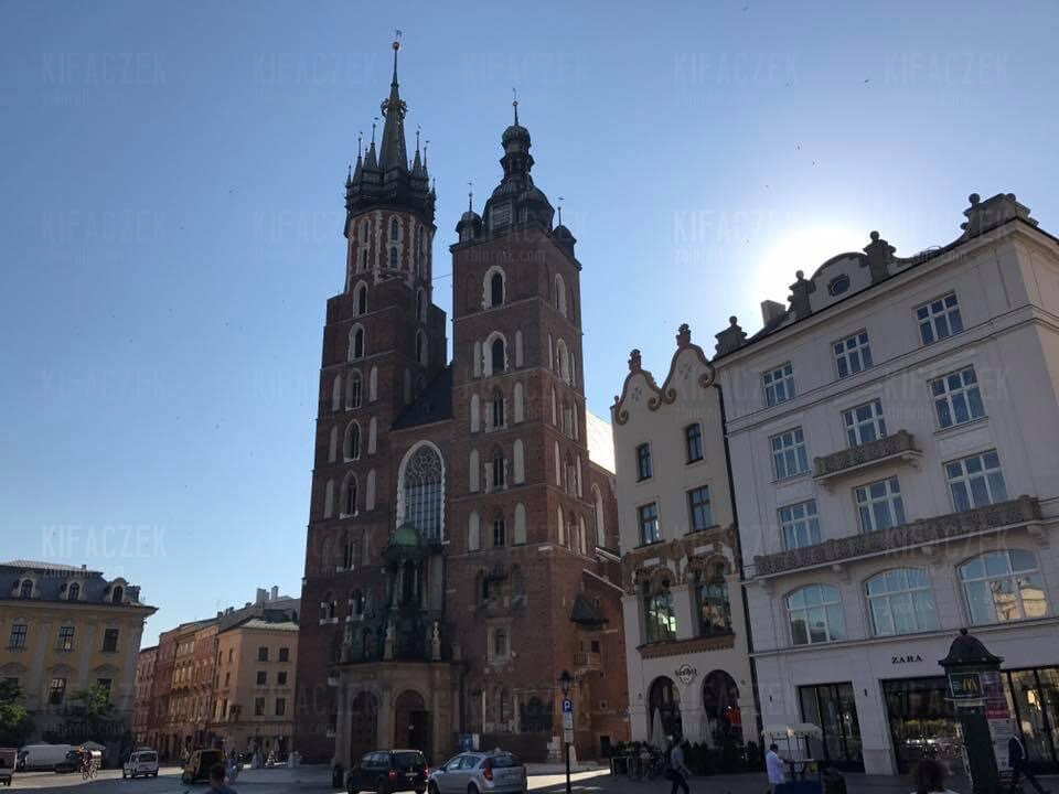 IMG_8195.jpeg - kifaczek