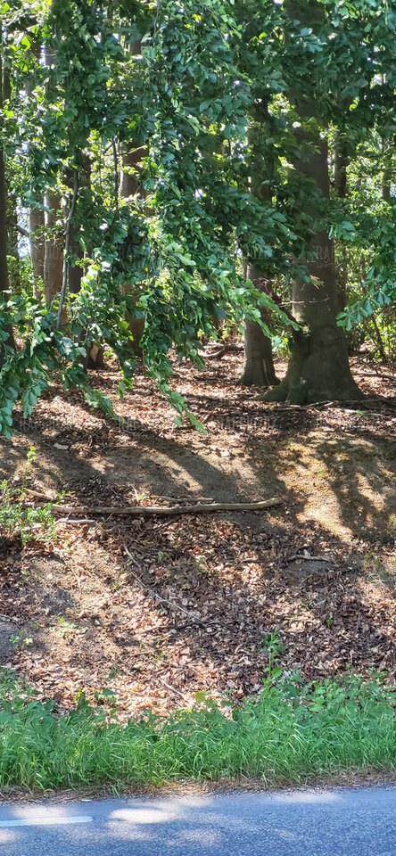 20230612_121726.jpg - Rafcio202