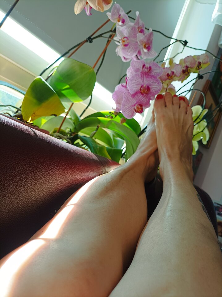 1000008993.jpg - Eurydyka2956