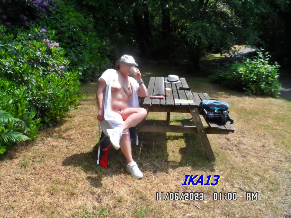 SAM_1310.JPG - ika13