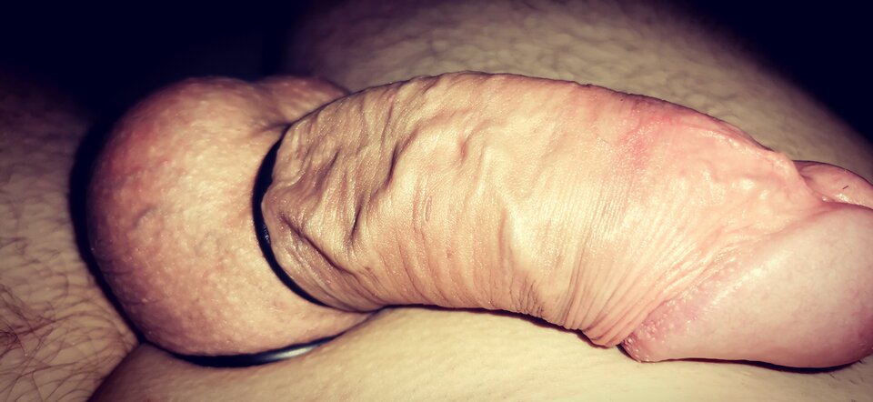 IMG_20230612_231818_edit_1710318275272879.jpg - lubiepuszystekobitki