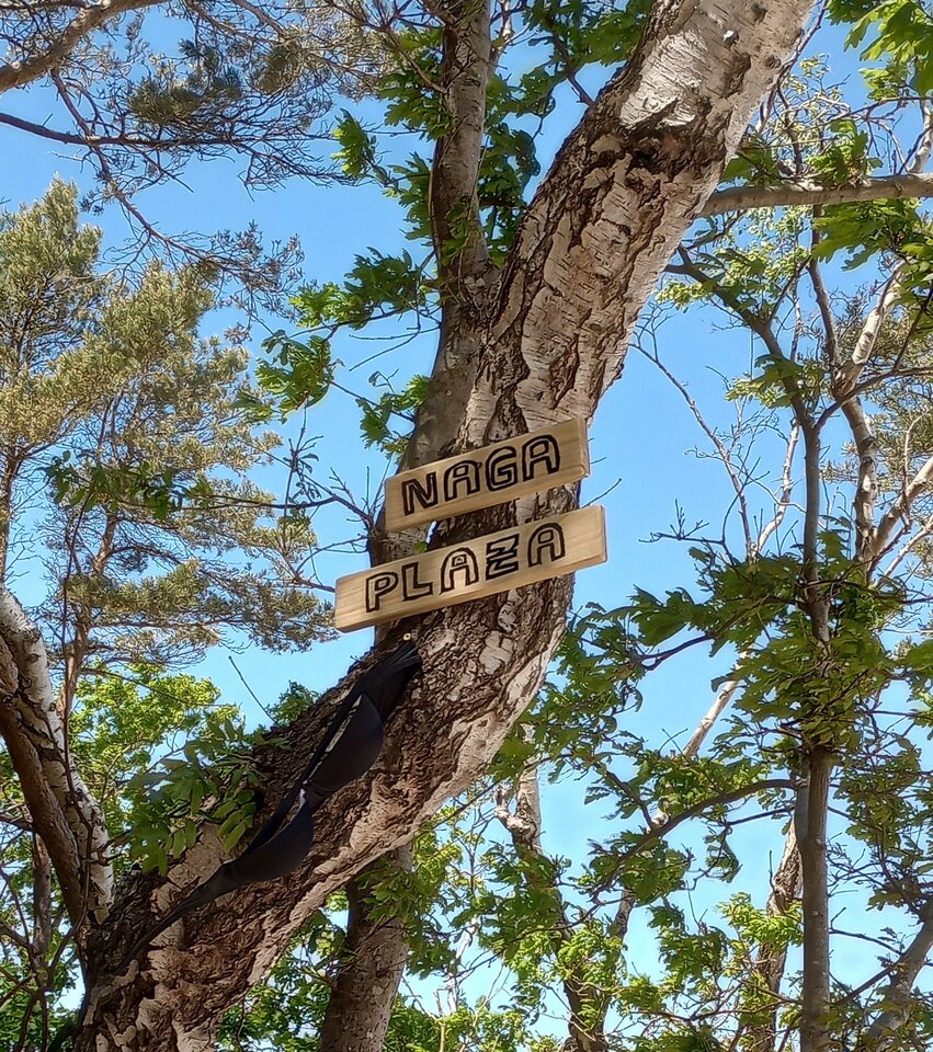 IMG_20230611_130705898_HDR~2.jpg - Szalona_zabawa