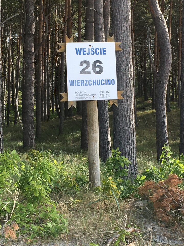 C6F9758C-3D36-4F34-A175-2E07AB941E92.jpeg - para0