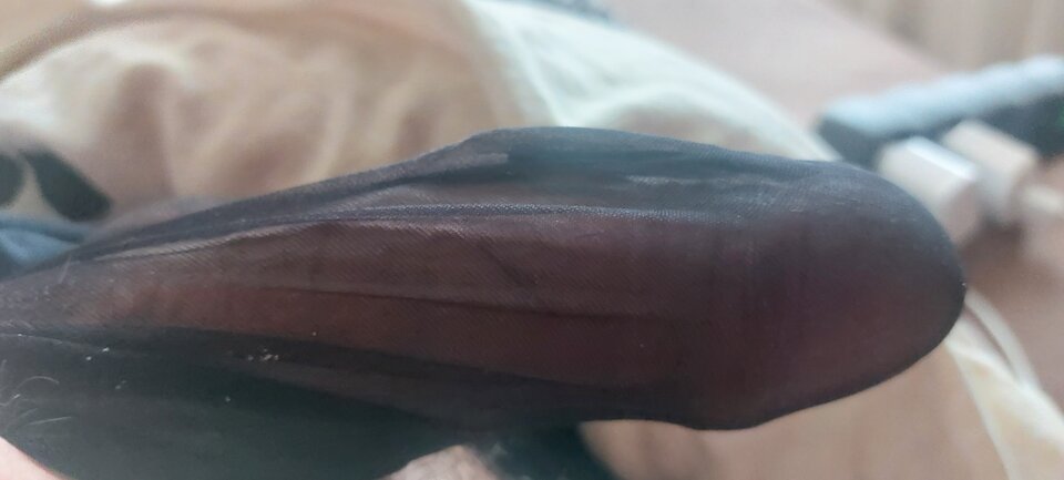 20230614_094616.jpg - Yoyooyoy