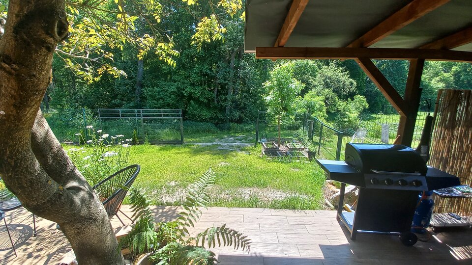 20230601_120151.jpg - Orzechowy__domek