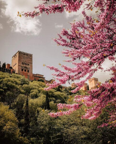Alhambra Granada🇪🇦❤️