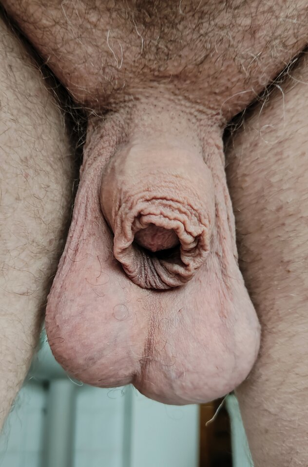 IMG_20230615_105357.jpg - jogan