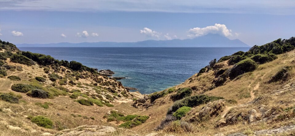 IMG_20230615_121743.jpg - jaseporn