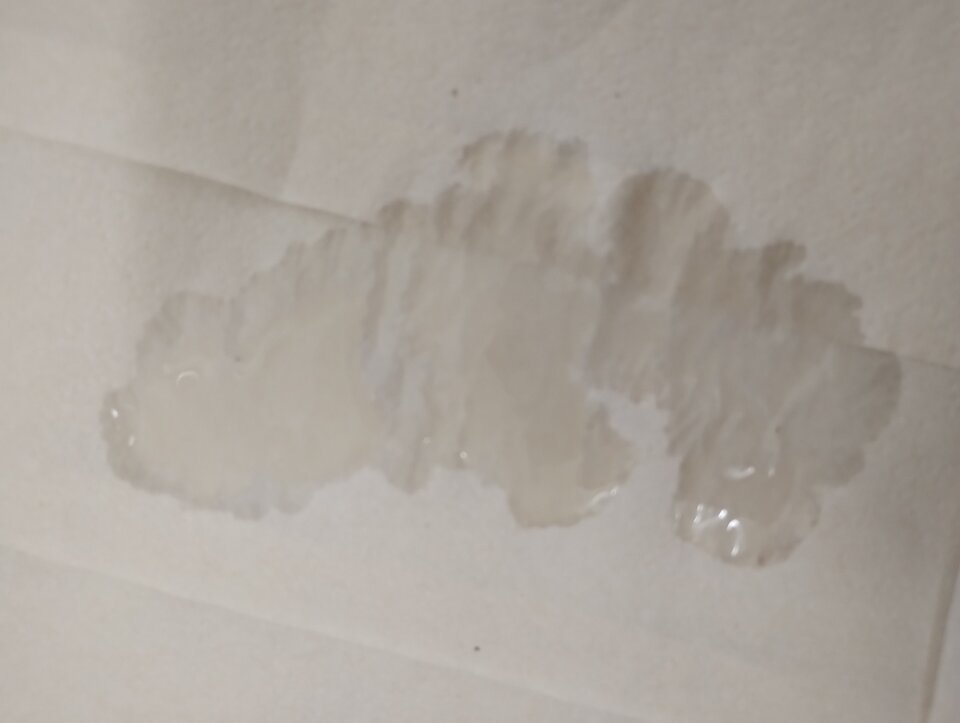 IMG_20230615_204719353.jpg - dawcarozkoszy84sprawdzto