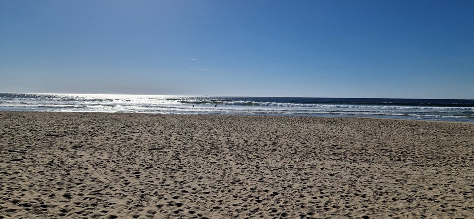 20230419_171500.jpg - Cayman38