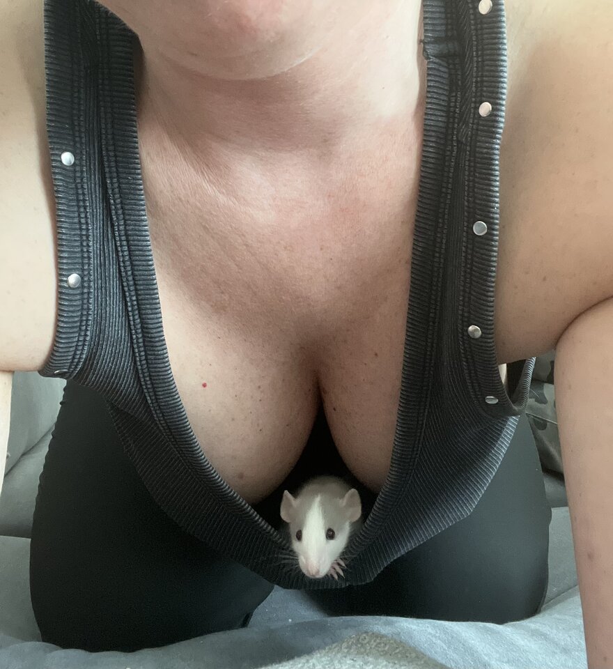 IMG_4112.jpeg - CuckoldZielona