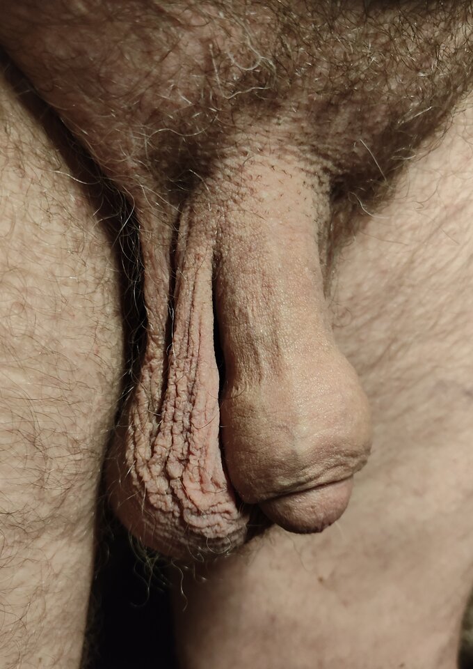 IMG_20230617_094444.jpg - jogan