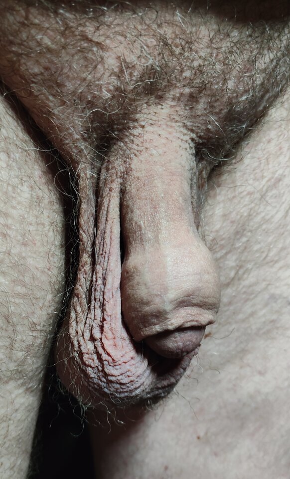 IMG_20230617_094526.jpg - jogan