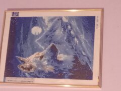20230106_180621.jpg