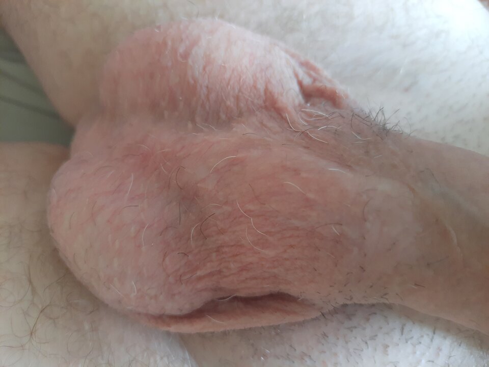 20230617_144154.jpg - Senda999