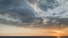 IMG_4293.jpeg