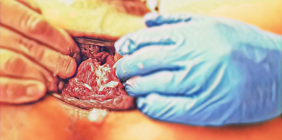 Moje dupsko czeka na ostre jebanie! - ArekNo1