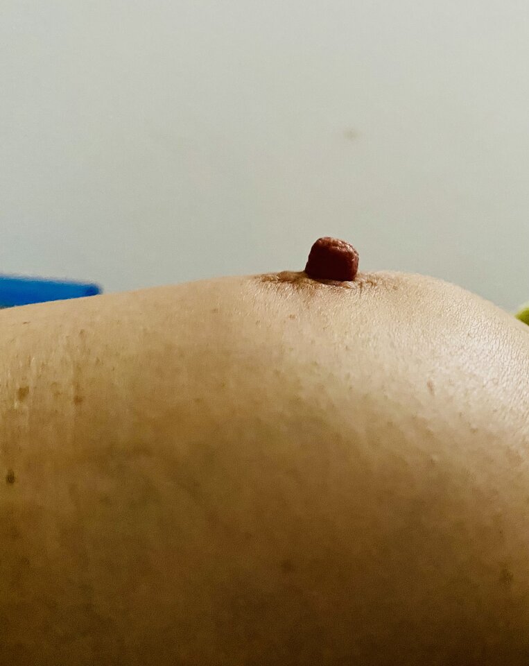 IMG_8758.jpeg - masi