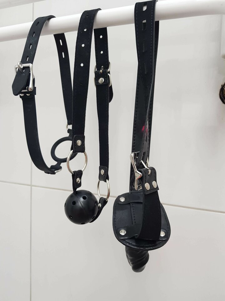 20190704_085540.jpg - Holexplorer