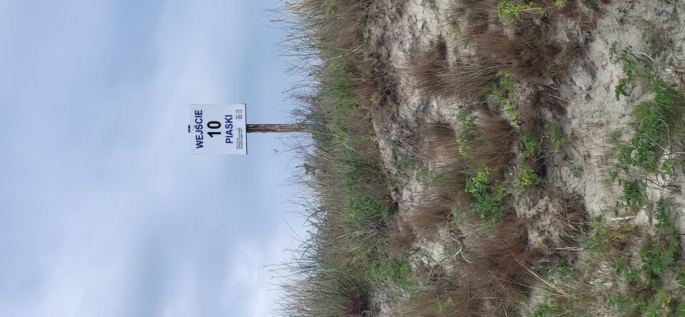 20230617_165329.jpg - pitt7810