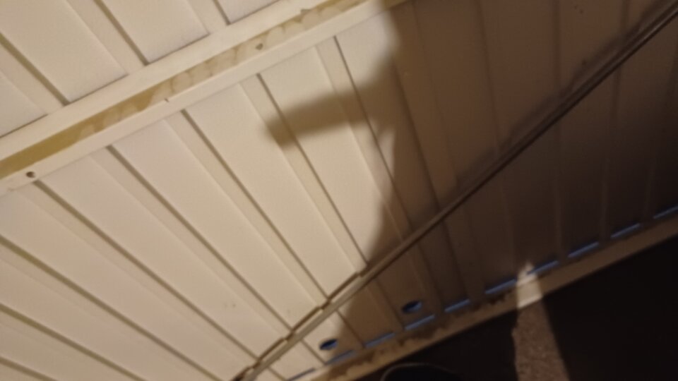 16870732232348275340540223886081.jpg - regulator24