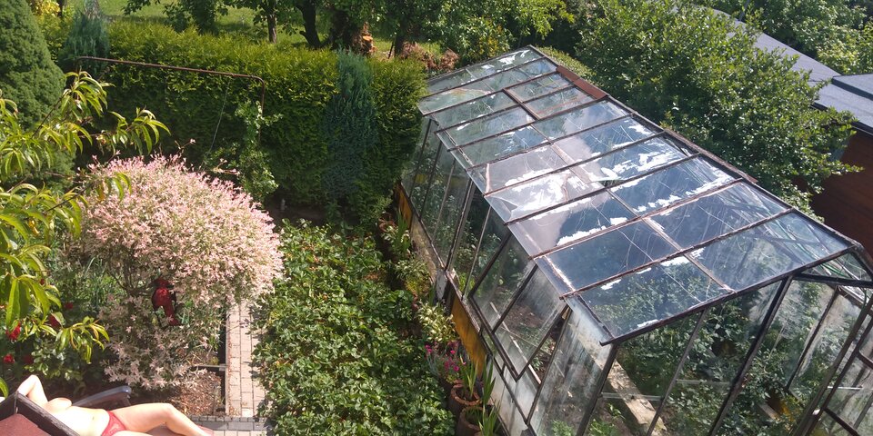 IMG_20230618_140446.jpg - STORCK