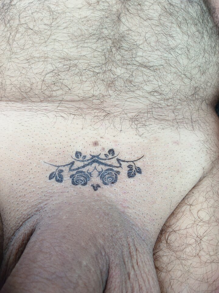 IMG_20230618_143212.jpg - Arturek1969