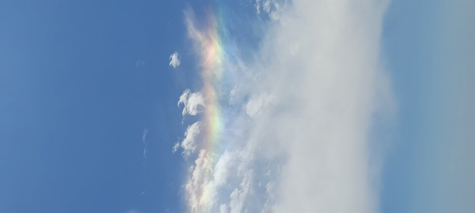 20230610_132601.jpg - bartekkra766