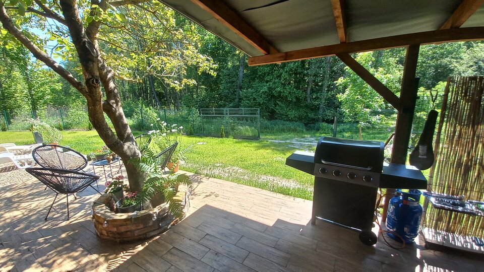 20230601_120158.jpg - Orzechowy__domek