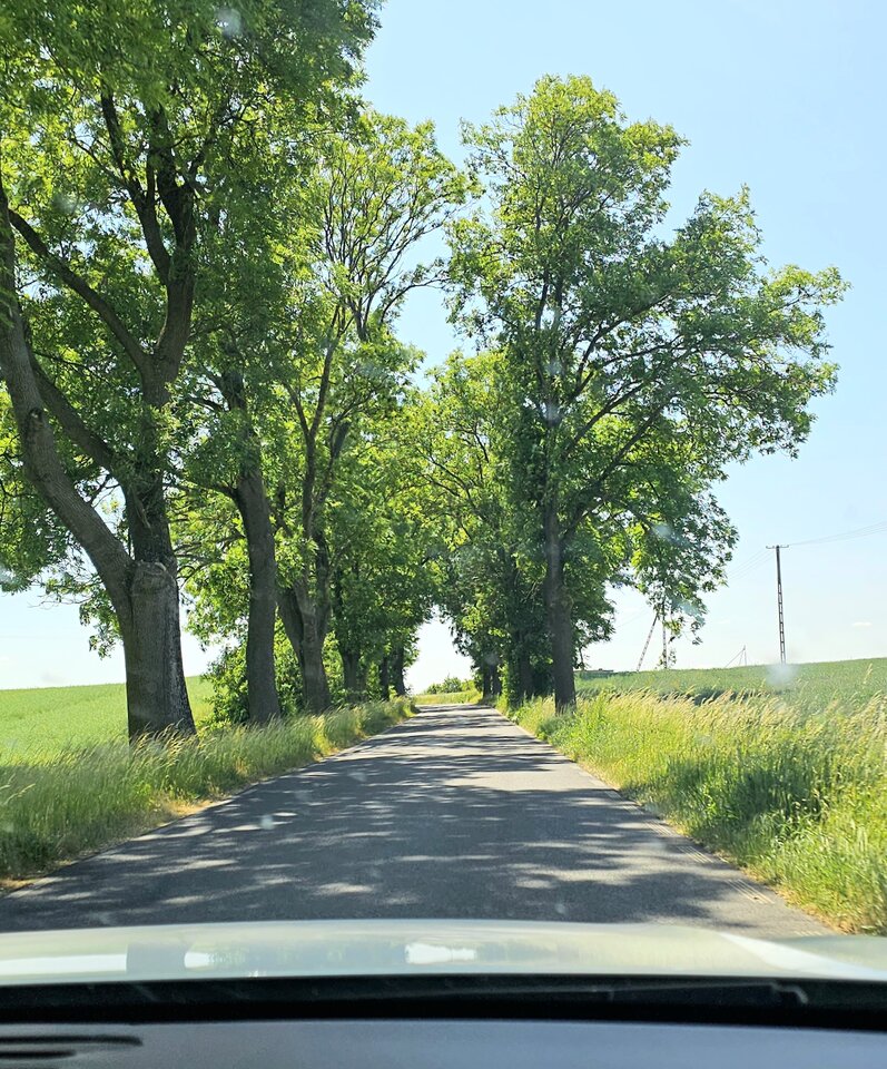 20230611_134144.jpg - Parka_waw1