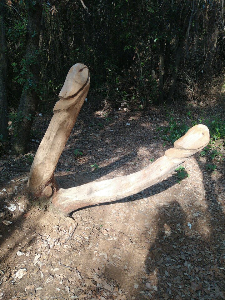 IMG_20230618_174453.jpg - onononaona