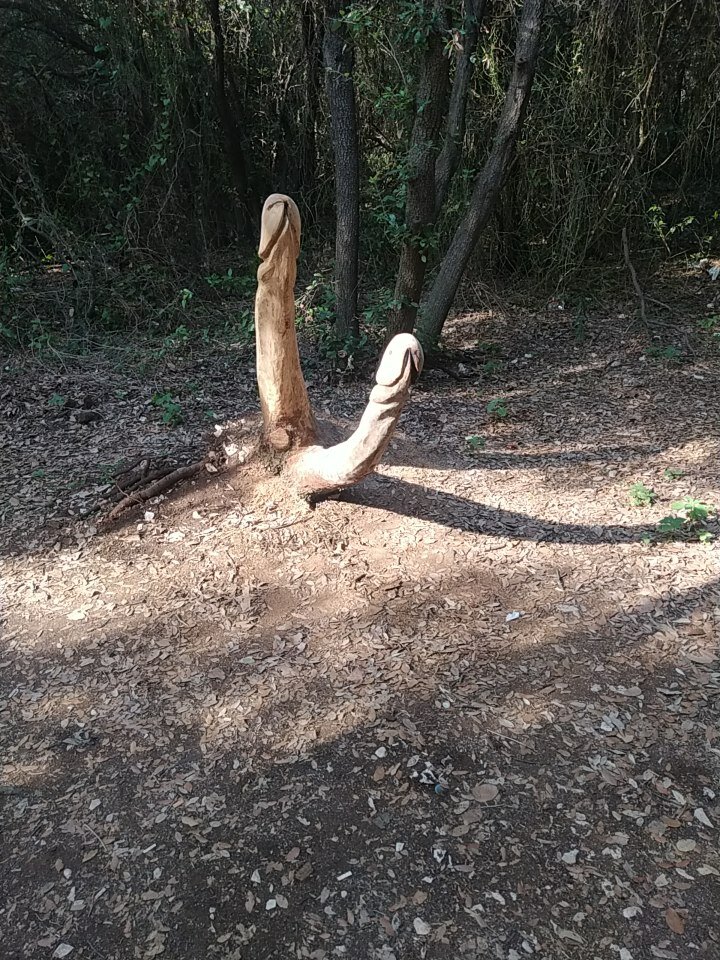 IMG_20230618_174439.jpg - onononaona